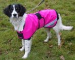 Hi-Vis Waterproof Dog Coat